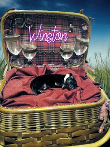 Winston